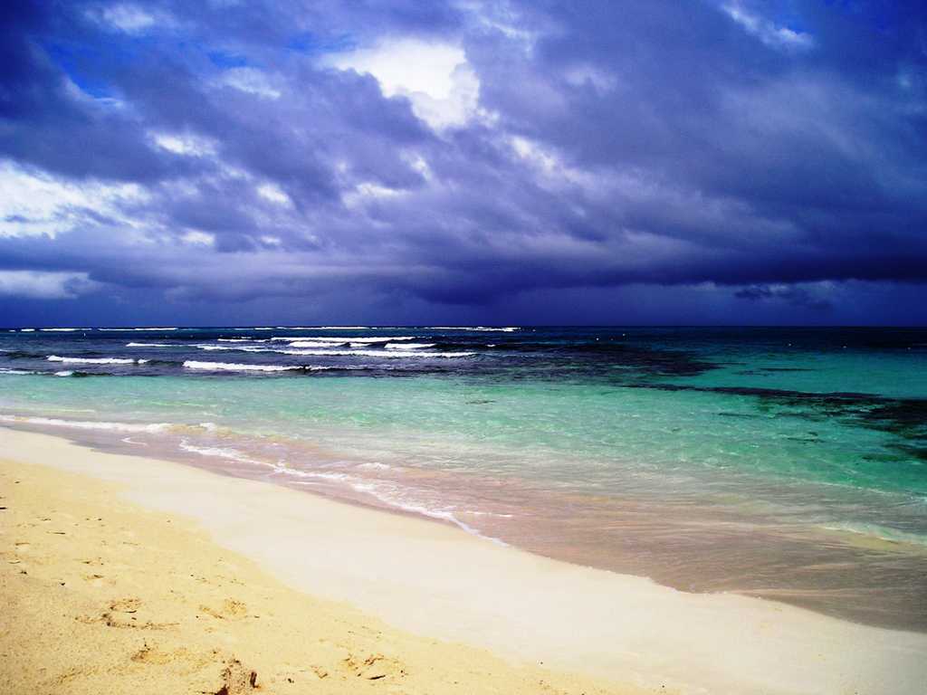 热带沙滩风景图片