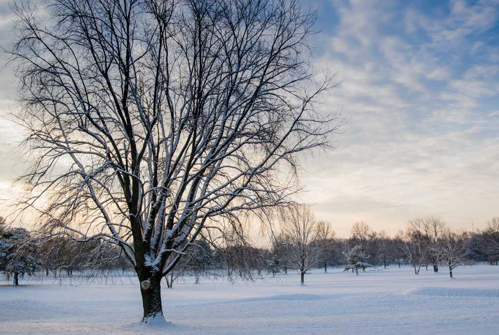 白雪覆盖的冬天图片