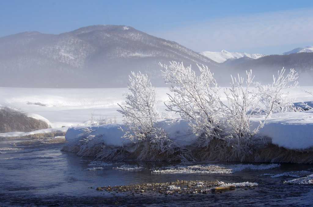 河岸边的霜冻景观图片