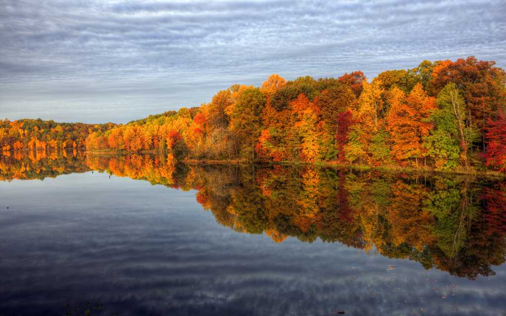 秋季丛林湖水图片