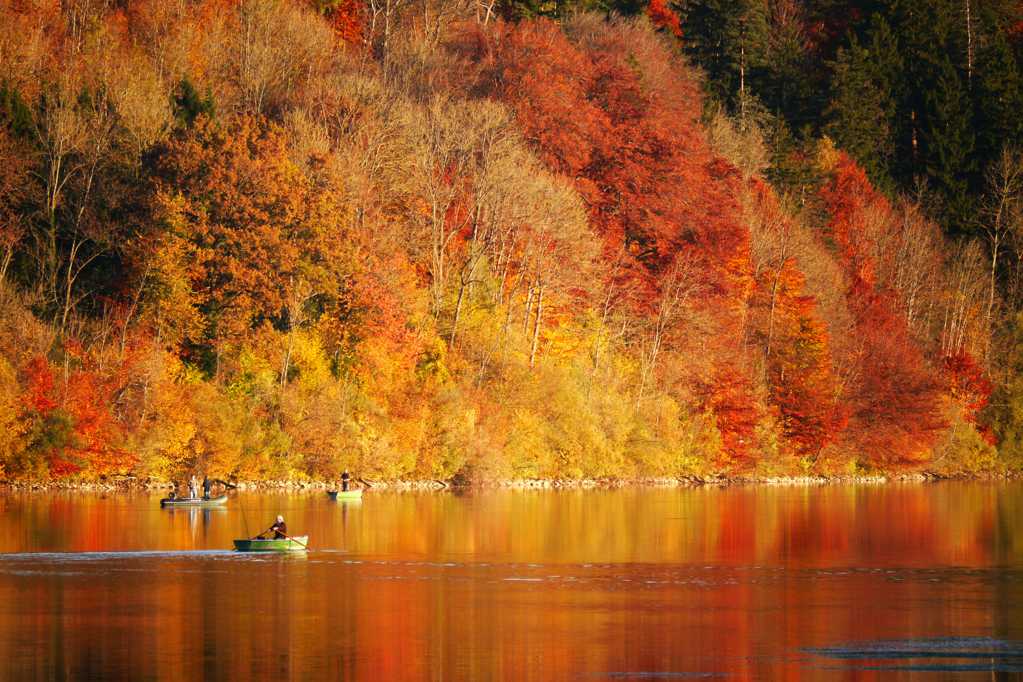 唯美的秋日景色图片