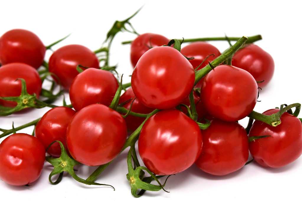 新鲜的小西红柿图片