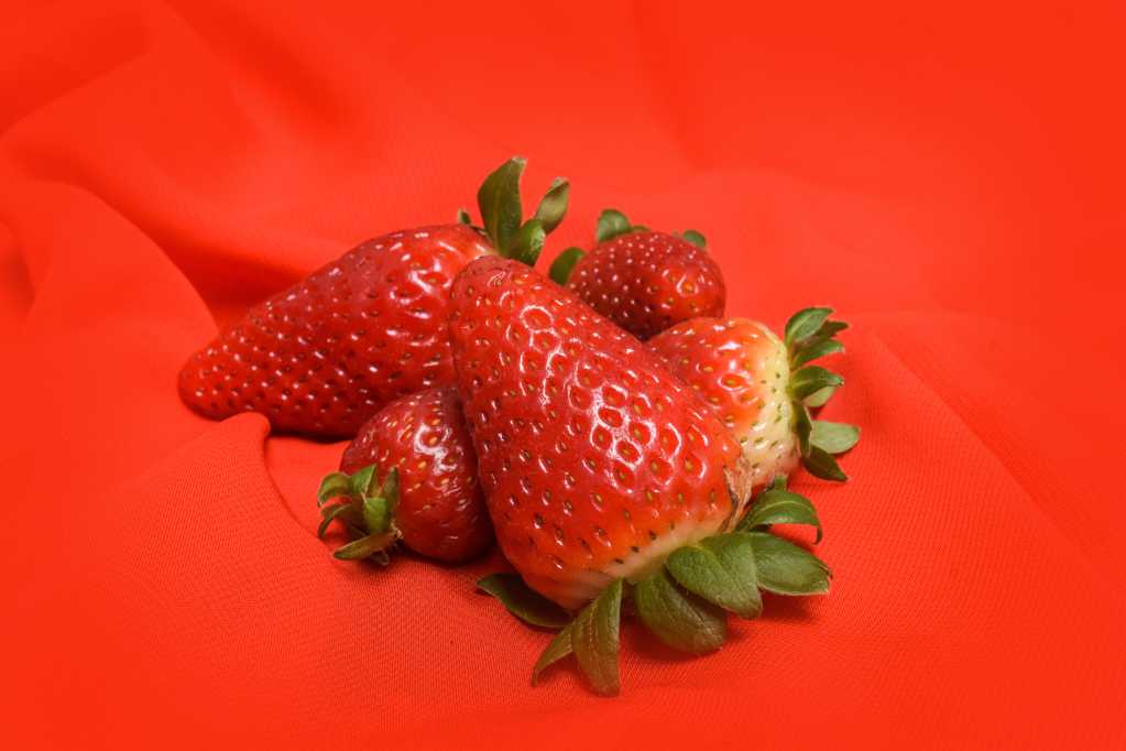 殷红的草莓图片