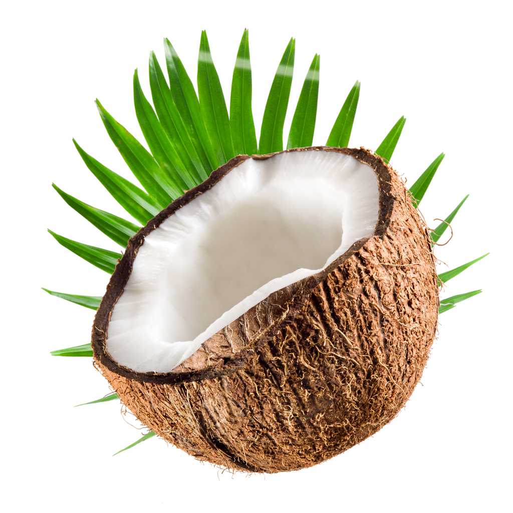 鲜甜可口的椰子