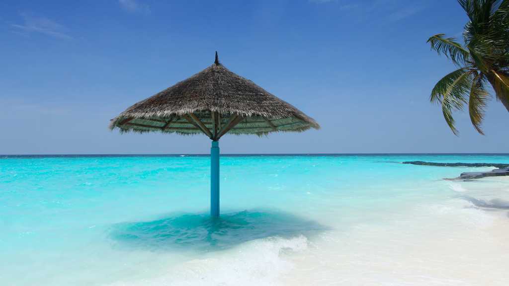 马尔代夫海滨光景图片