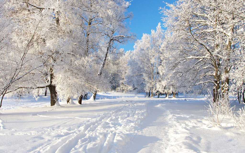 唯美的冬天雪景图片