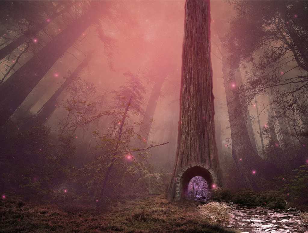 梦幻童话树林图片