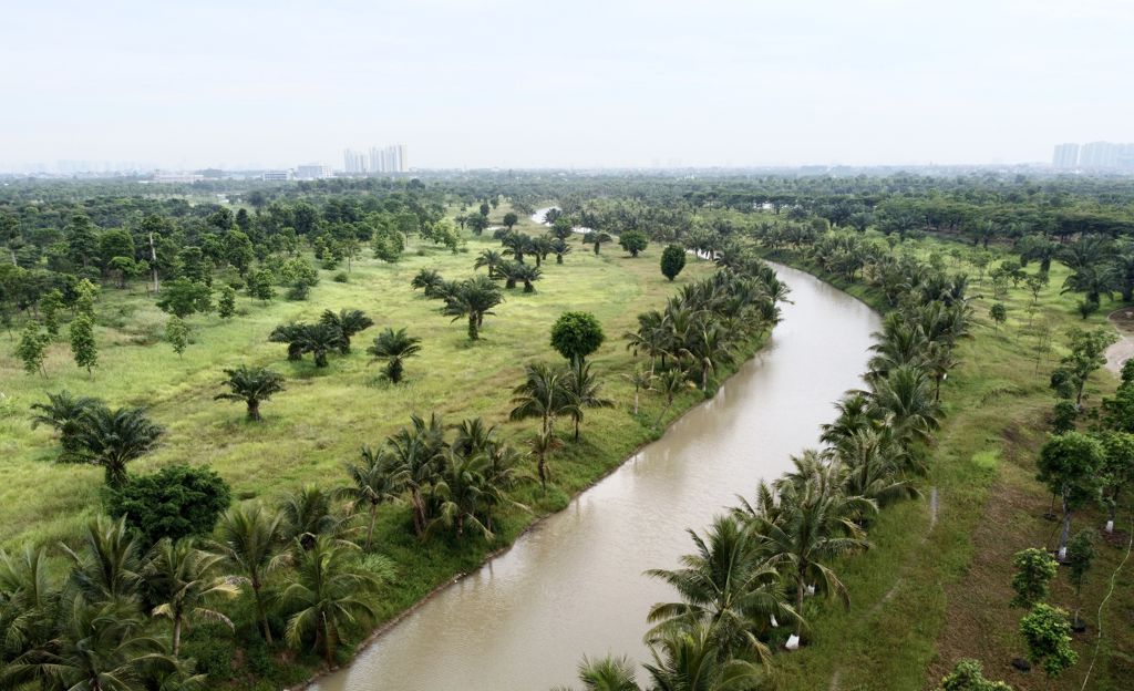 越南河湾风景