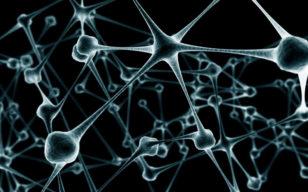 神经细胞的Mac壁纸