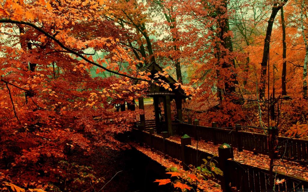 一个桥到秋天的Mac壁纸