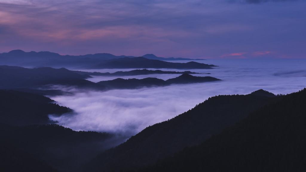 高山薄雾自然景观