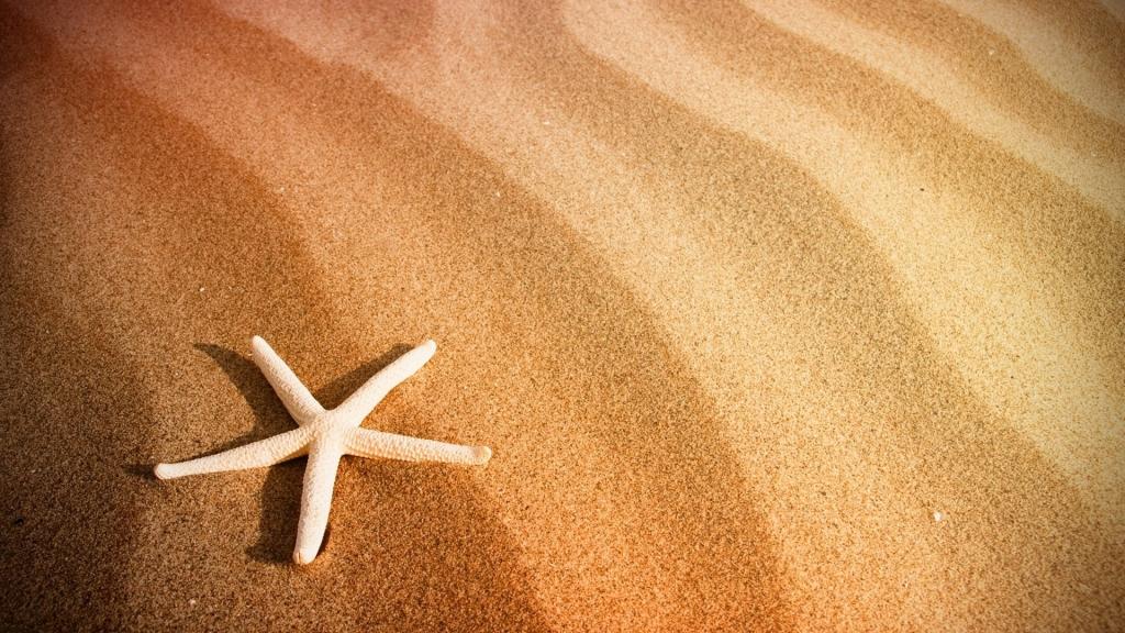海星和沙子的Mac壁纸