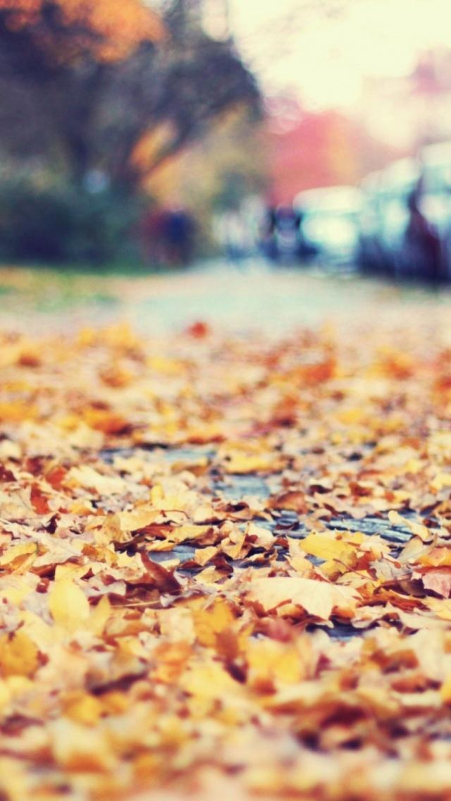金色的秋叶模糊iPhone 5壁纸