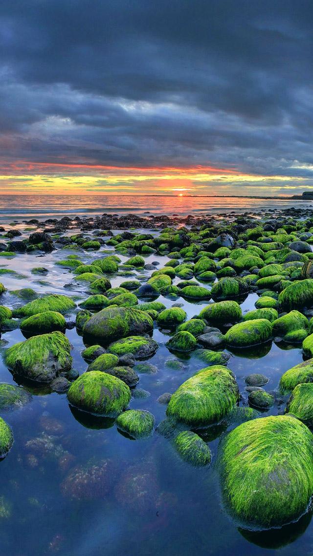 冰岛绿色岩石海岸日落iPhone 5壁纸