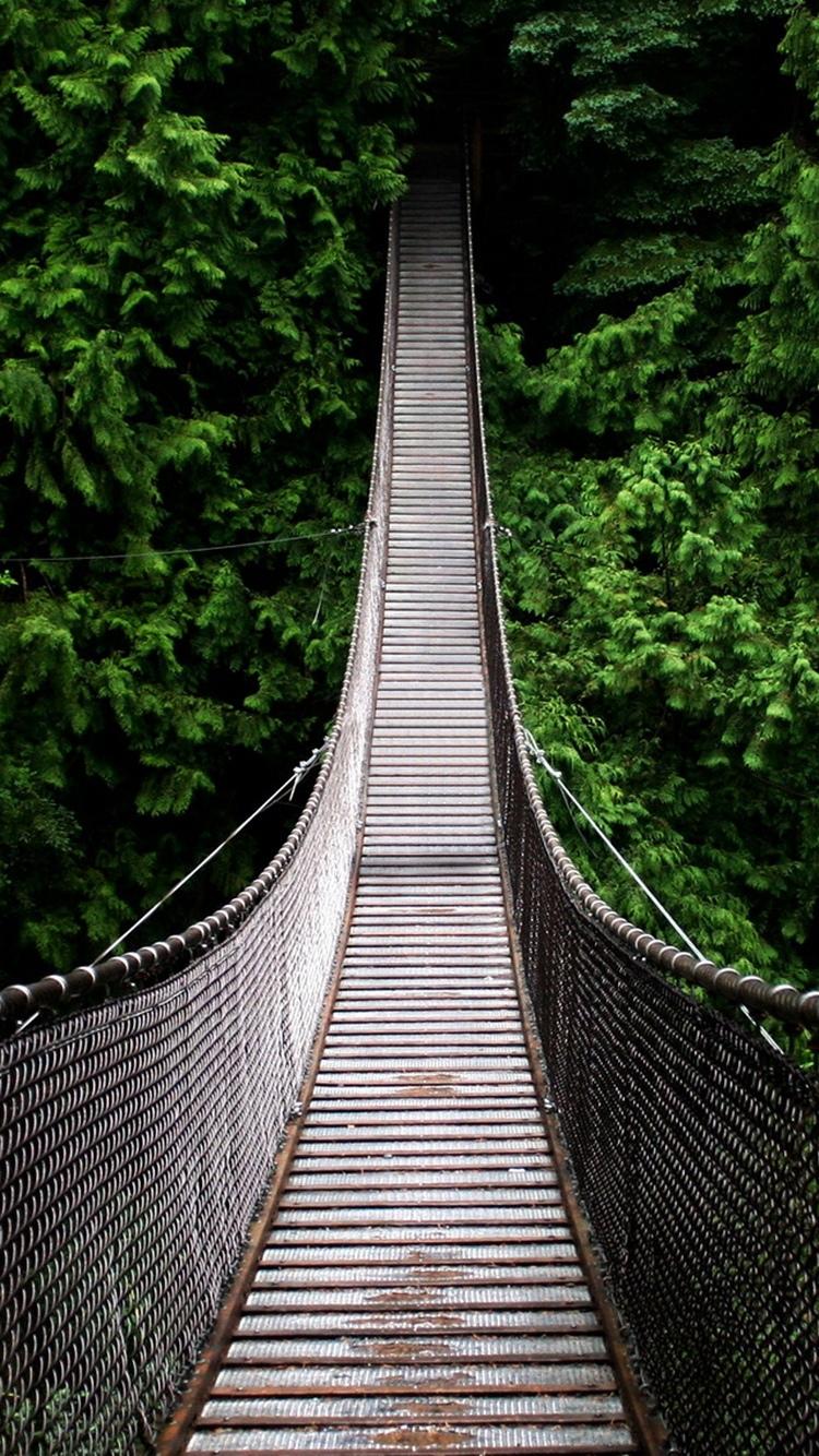 森林木吊桥iPhone 6壁纸