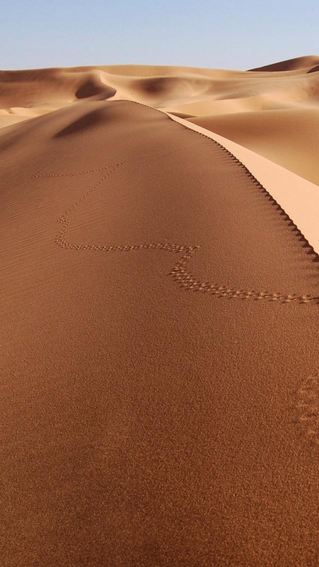 无尽的沙漠沙丘追踪iPhone 5壁纸