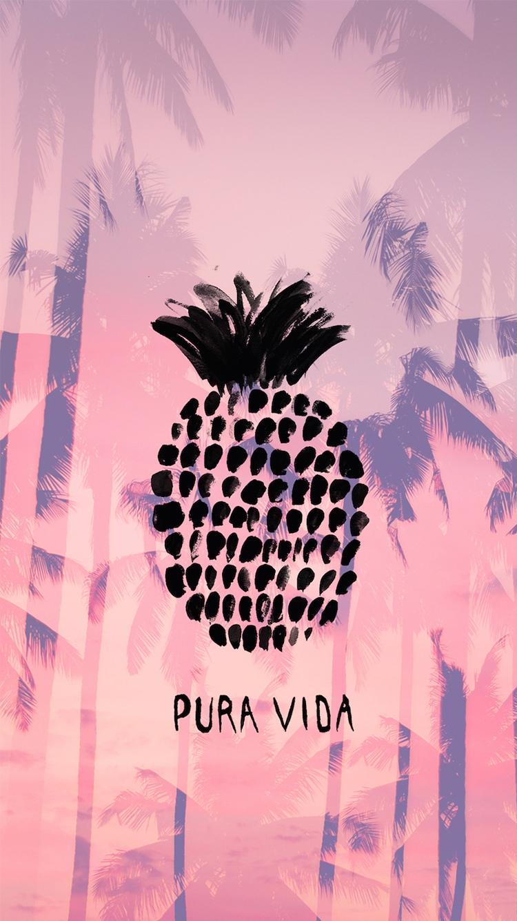 普拉维达夏季菠萝iPhone 6壁纸