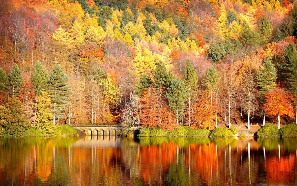 美丽的湖倒影秋天的Mac壁纸