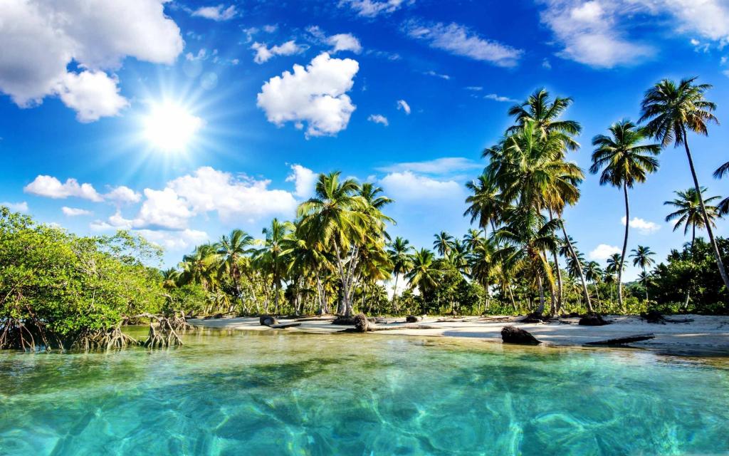 热带棕榈树太阳海滩Mac壁纸