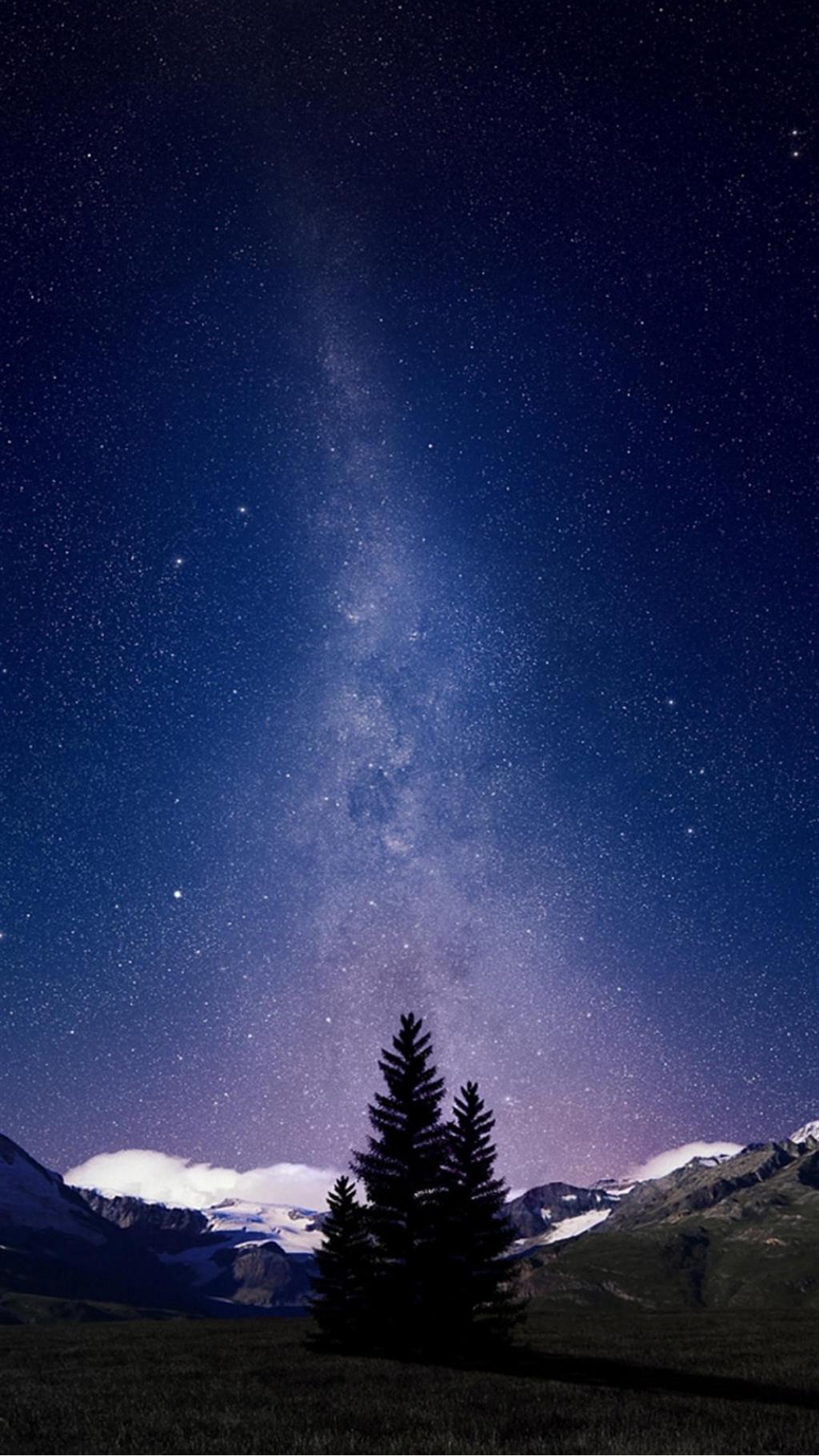美丽的银河孤独树iPhone 6 Plus高清壁纸