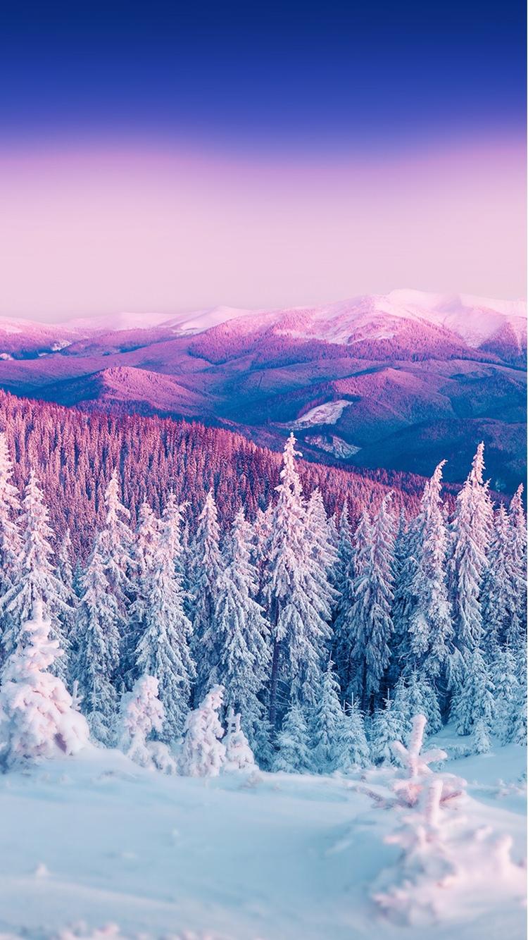 紫色冬季山风景iPhone 6壁纸