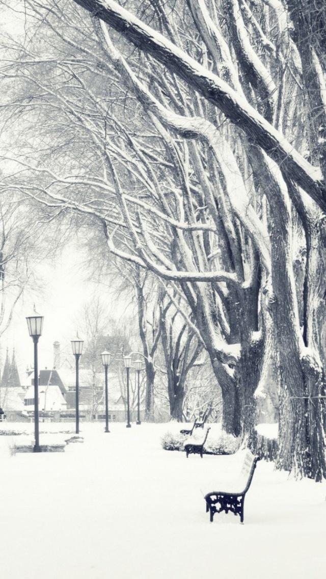 白雪皑皑的树木公园巷板凳iPhone 5壁纸