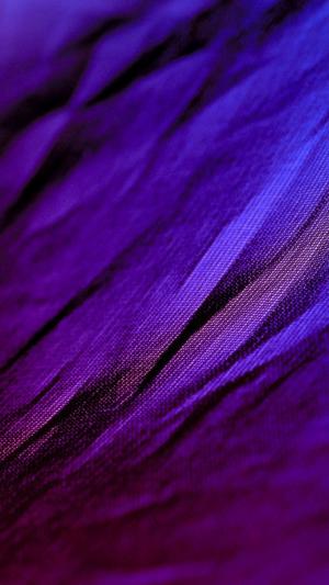 紫色图片 紫色壁纸大全 Ios桌面