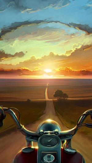 自行车骑入夕阳帆布绘画iPhone 5壁纸
