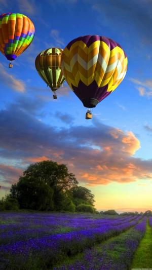 彩虹色空气气球iPhone 6 Plus高清壁纸