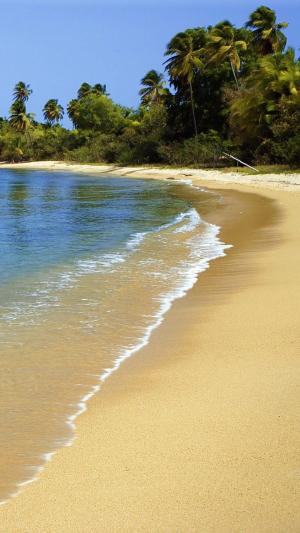 波多黎各海滩沙棕榈树iPhone 6 Plus高清壁纸
