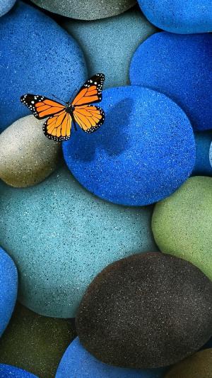 孤独的蝴蝶蓝色的岩石iPhone 6壁纸