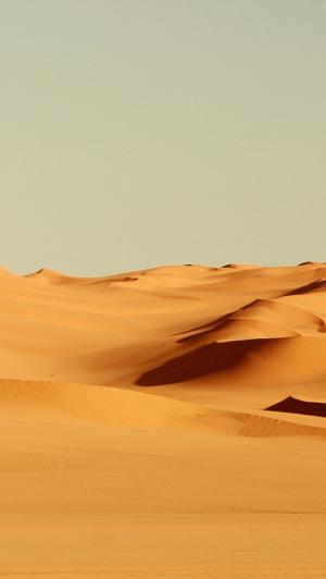 无尽的沙漠沙丘iPhone 5壁纸