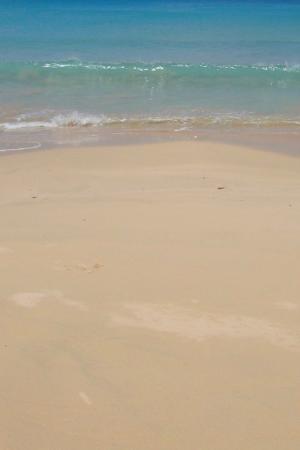 浪潮出海滩iPhone壁纸