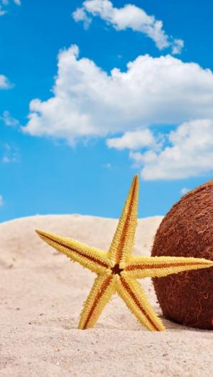 海星和椰子在海滩沙子iPhone 5墙纸