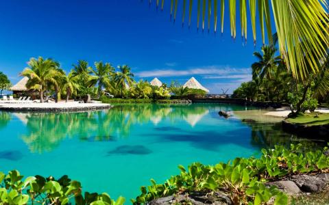 热带岛屿游泳池度假村Mac壁纸