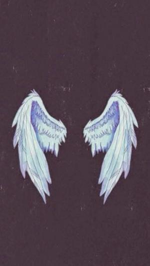 天使的翅膀插图iPhone 6壁纸