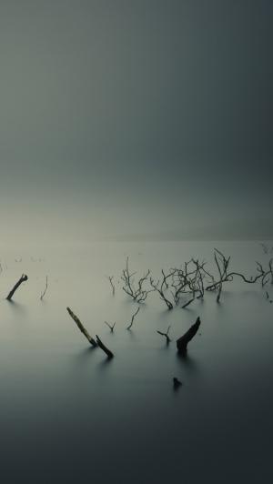 平静的湖阴云密布死树iPhone 5壁纸