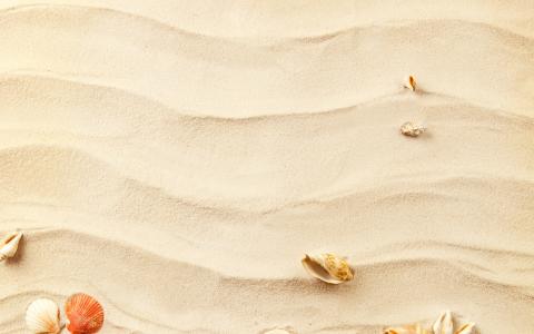 在沙滩上的贝壳Mac壁纸