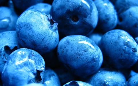 蓝莓浆果滴Mac壁纸