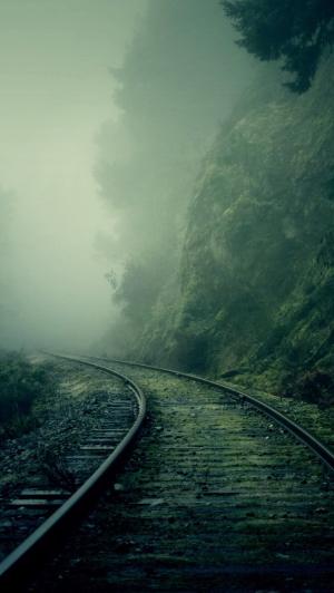 有雾的火车轨道森林iPhone 5壁纸