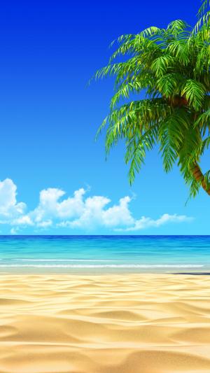 热带海滩椰子树图iPhone 6加高清壁纸