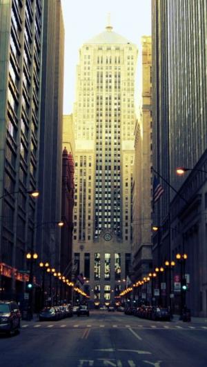 芝加哥建筑物iPhone 5墙纸