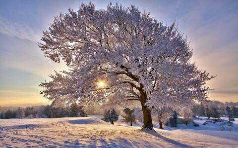 美丽的冬天早晨Mac壁纸