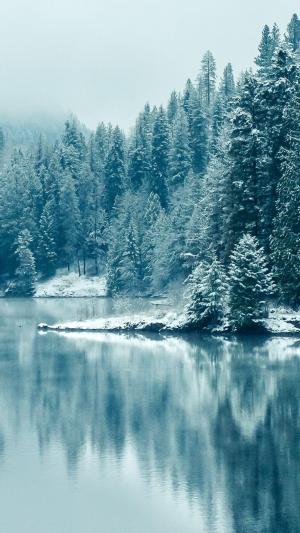 松林森林湖雪iPhone 6加高清壁纸