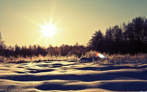 阳光明媚的下雪天Mac壁纸