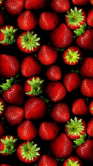 草莓图案iPhone 6 Plus高清壁纸
