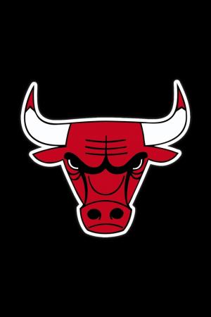 NBA – Chicago Bulls iPhone Wallpaper 4