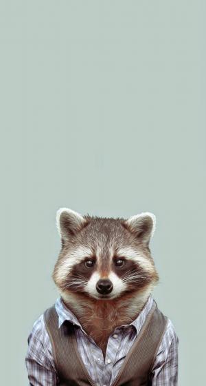 Yago Partal动物园肖像常见的浣熊iPhone 6 Plus高清壁纸