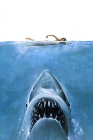 大白鲨电影海报iPhone壁纸