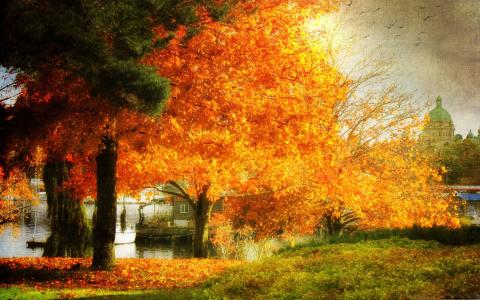 一个梦幻般的秋季Mac壁纸